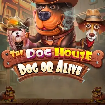 The Dog House slot oyunu kapak görseli, şapkalı köpekler