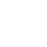Evolution oyun sağlayıcısının logosu
