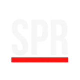Spribe oyun sağlayıcısının logosu